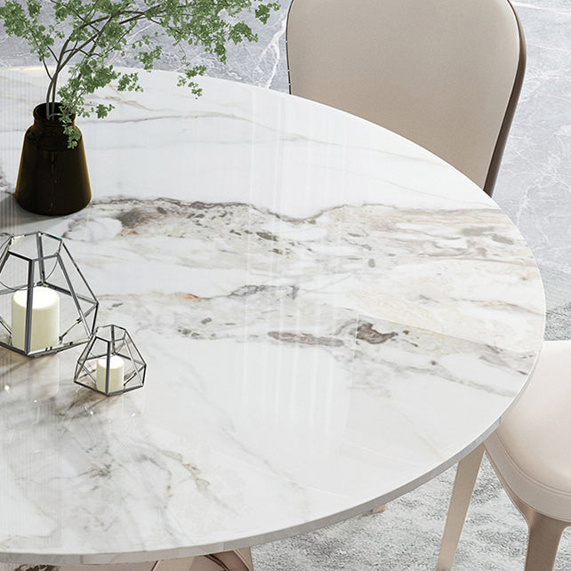 Modern Stone Dining Room Set 1/4/5/7 Pieces Dining Furniture Set /Separate Items Clearhalo 'Dining Room Sets' 'Dining Tables & Seating' 'dining_room_set' 'furn' 'furn_dining_room_set' 'Furniture' 'furniture_dining_room_set' 'Kitchen & Dining Furniture' 'kitchen&dining_furn' 'kitchen' 4346502