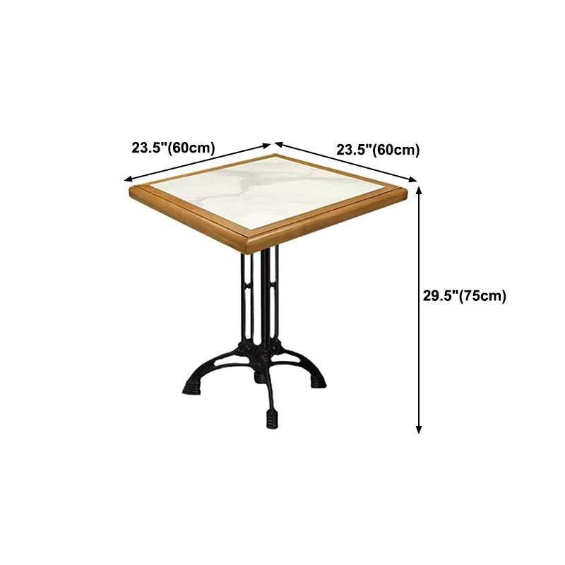 Industrial Kitchen Dining Table Solid Wood Table with Black Metal Pedestal Base Clearhalo ' dining_table' 'Dining Tables & Seating' 'Dining Tables' 'furn' 'furn_dining_table' 'Furniture' 'furniture_dining_table' 'Kitchen & Dining Furniture' 'kitchen&dining_furn' 'kitchen' 'kitchen_dining_table' 4353449