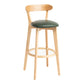 Modern Backrest Armless Counter Stool Wood Household Bar Stool with Cushion Blackish Green 1 Piece Clearhalo 'Bar Furniture' 'Bar Stools' 'bar_stools' 'furn' 'furn_bar_stools' 'furniture_bar_stools' 'Kitchen & Dining Furniture' 'kitchen&dining_furn' 'kitchen' 'kitchen_furn' Furniture' 4354476
