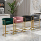 Glam Backrest Counter Stool Iron Household Bar Stool with Velvet Cushion and Pedal Clearhalo 'Bar Furniture' 'Bar Stools' 'bar_stools' 'furn' 'furn_bar_stools' 'furniture_bar_stools' 'Kitchen & Dining Furniture' 'kitchen&dining_furn' 'kitchen' 'kitchen_furn' Furniture' 4354539