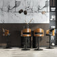 Modern Backrest Liftable Stool Iron Household Bar Stool with Cushion and Pedal Clearhalo 'Bar Furniture' 'Bar Stools' 'bar_stools' 'furn' 'furn_bar_stools' 'furniture_bar_stools' 'Kitchen & Dining Furniture' 'kitchen&dining_furn' 'kitchen' 'kitchen_furn' Furniture' 4354548