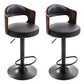 Modern Backrest Liftable Stool Iron Household Bar Stool with Cushion and Pedal Gloss Black 2 Piece Set Clearhalo 'Bar Furniture' 'Bar Stools' 'bar_stools' 'furn' 'furn_bar_stools' 'furniture_bar_stools' 'Kitchen & Dining Furniture' 'kitchen&dining_furn' 'kitchen' 'kitchen_furn' Furniture' 4354564