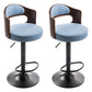 Modern Backrest Liftable Stool Iron Household Bar Stool with Cushion and Pedal Light Blue 2 Piece Set Clearhalo 'Bar Furniture' 'Bar Stools' 'bar_stools' 'furn' 'furn_bar_stools' 'furniture_bar_stools' 'Kitchen & Dining Furniture' 'kitchen&dining_furn' 'kitchen' 'kitchen_furn' Furniture' 4354575