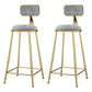 Glam Metal Upholstered Barstool Indoor Bar Stool With Cushion and Iron Legs Grey 2 Piece Set Clearhalo 'Bar Furniture' 'Bar Stools' 'bar_stools' 'furn' 'furn_bar_stools' 'furniture_bar_stools' 'Kitchen & Dining Furniture' 'kitchen&dining_furn' 'kitchen' 'kitchen_furn' Furniture' 4354670