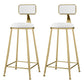 Glam Metal Upholstered Barstool Indoor Bar Stool With Cushion and Iron Legs White 2 Piece Set Clearhalo 'Bar Furniture' 'Bar Stools' 'bar_stools' 'furn' 'furn_bar_stools' 'furniture_bar_stools' 'Kitchen & Dining Furniture' 'kitchen&dining_furn' 'kitchen' 'kitchen_furn' Furniture' 4354671