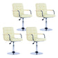 Modern Backrest Liftable Stool Steel Household Bar Stool with Cushion Beige 4 Piece Set Short Stool(22"H) Clearhalo 'Bar Furniture' 'Bar Stools' 'bar_stools' 'furn' 'furn_bar_stools' 'furniture_bar_stools' 'Kitchen & Dining Furniture' 'kitchen&dining_furn' 'kitchen' 'kitchen_furn' Furniture' 4356612