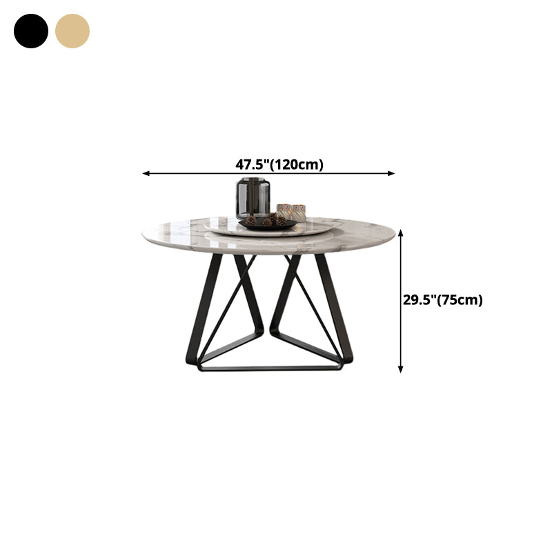 Marble Dining Table Simple Style Round Dining Site Table with Turntable Clearhalo ' dining_table' 'Dining Tables & Seating' 'Dining Tables' 'furn' 'furn_dining_table' 'Furniture' 'furniture_dining_table' 'Kitchen & Dining Furniture' 'kitchen&dining_furn' 'kitchen' 'kitchen_dining_table' 4369154