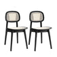 Modern Style Open Back Dining Side Chair Armless Cane Back Dining Chairs Black 2 Piece Set Clearhalo ' kitchen&dining_furn' 'Dining Chairs' 'Dining Tables & Seating' 'dining_chair' 'furn' 'furn_dining_chair' 'Furniture' 'furniture_dining_chair' 'Kitchen & Dining Furniture' 'kitchen' 4369361