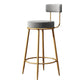 Glam Armless Backrest Counter Stool Iron Household Bar Stool with Velvet Cushion and Pedal Clearhalo 'Bar Furniture' 'Bar Stools' 'bar_stools' 'furn' 'furn_bar_stools' 'furniture_bar_stools' 'Kitchen & Dining Furniture' 'kitchen&dining_furn' 'kitchen' 'kitchen_furn' Furniture' 4371732