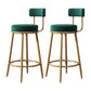 Glam Armless Backrest Counter Stool Iron Household Bar Stool with Velvet Cushion and Pedal Green 2 Piece Set Clearhalo 'Bar Furniture' 'Bar Stools' 'bar_stools' 'furn' 'furn_bar_stools' 'furniture_bar_stools' 'Kitchen & Dining Furniture' 'kitchen&dining_furn' 'kitchen' 'kitchen_furn' Furniture' 4371738