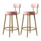 Glam Armless Backrest Counter Stool Iron Household Bar Stool with Velvet Cushion and Pedal Pink 2 Piece Set Clearhalo 'Bar Furniture' 'Bar Stools' 'bar_stools' 'furn' 'furn_bar_stools' 'furniture_bar_stools' 'Kitchen & Dining Furniture' 'kitchen&dining_furn' 'kitchen' 'kitchen_furn' Furniture' 4371741