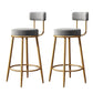 Glam Armless Backrest Counter Stool Iron Household Bar Stool with Velvet Cushion and Pedal Gray 2 Piece Set Clearhalo 'Bar Furniture' 'Bar Stools' 'bar_stools' 'furn' 'furn_bar_stools' 'furniture_bar_stools' 'Kitchen & Dining Furniture' 'kitchen&dining_furn' 'kitchen' 'kitchen_furn' Furniture' 4371747