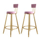 Glam Metal Upholstered Barstool Living Room Bar Stool with Iron Legs and Low Back,Cushion Pink 2 Piece Set Clearhalo 'Bar Furniture' 'Bar Stools' 'bar_stools' 'furn' 'furn_bar_stools' 'furniture_bar_stools' 'Kitchen & Dining Furniture' 'kitchen&dining_furn' 'kitchen' 'kitchen_furn' Furniture' 4372145
