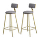 Glam Metal Upholstered Barstool Bristol Bar Stool with Iron Legs and Low Back,Cushion Gray 2 Piece Set Clearhalo 'Bar Furniture' 'Bar Stools' 'bar_stools' 'furn' 'furn_bar_stools' 'furniture_bar_stools' 'Kitchen & Dining Furniture' 'kitchen&dining_furn' 'kitchen' 'kitchen_furn' Furniture' 4372210