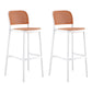 Backrest Bar And Counter Stool Antique Rattan Home Modern Minimalist Leisure High Chair White 2 Piece Set Bar Stool(30"H) Clearhalo 'Bar Furniture' 'Bar Stools' 'bar_stools' 'furn' 'furn_bar_stools' 'furniture_bar_stools' 'Kitchen & Dining Furniture' 'kitchen&dining_furn' 'kitchen' 'kitchen_furn' Furniture' 4374387