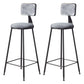 Contemporary Counter Bar Stool Backrest Velvet Bar Stool with Footrest, Iron Base Gray 2 Piece Set Clearhalo 'Bar Furniture' 'Bar Stools' 'bar_stools' 'furn' 'furn_bar_stools' 'furniture_bar_stools' 'Kitchen & Dining Furniture' 'kitchen&dining_furn' 'kitchen' 'kitchen_furn' Furniture' 4374554