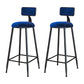 Modern Metal Upholstered Bar Stool Bristol Bar Stool with Iron Legs and Cushion Blue 2 Piece Set Bar Stool(30"H) Clearhalo 'Bar Furniture' 'Bar Stools' 'bar_stools' 'furn' 'furn_bar_stools' 'furniture_bar_stools' 'Kitchen & Dining Furniture' 'kitchen&dining_furn' 'kitchen' 'kitchen_furn' Furniture' 4380367