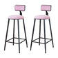 Modern Metal Upholstered Bar Stool Bristol Bar Stool with Iron Legs and Cushion Pink 2 Piece Set Bar Stool(30"H) Clearhalo 'Bar Furniture' 'Bar Stools' 'bar_stools' 'furn' 'furn_bar_stools' 'furniture_bar_stools' 'Kitchen & Dining Furniture' 'kitchen&dining_furn' 'kitchen' 'kitchen_furn' Furniture' 4380390