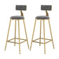 Glam Metal Upholstered Bar Stool Bristol Barstool with Low Back and Cushion Grey 2 Piece Set Bar Stool(30"H) Clearhalo 'Bar Furniture' 'Bar Stools' 'bar_stools' 'furn' 'furn_bar_stools' 'furniture_bar_stools' 'Kitchen & Dining Furniture' 'kitchen&dining_furn' 'kitchen' 'kitchen_furn' Furniture' 4380488