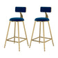 Glam Metal Upholstered Bar Stool Bristol Barstool with Low Back and Cushion Blue 2 Piece Set Counter Stool(26"H) Clearhalo 'Bar Furniture' 'Bar Stools' 'bar_stools' 'furn' 'furn_bar_stools' 'furniture_bar_stools' 'Kitchen & Dining Furniture' 'kitchen&dining_furn' 'kitchen' 'kitchen_furn' Furniture' 4380492