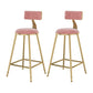 Glam Metal Upholstered Bar Stool Bristol Barstool with Low Back and Cushion Pink 2 Piece Set Counter Stool(26"H) Clearhalo 'Bar Furniture' 'Bar Stools' 'bar_stools' 'furn' 'furn_bar_stools' 'furniture_bar_stools' 'Kitchen & Dining Furniture' 'kitchen&dining_furn' 'kitchen' 'kitchen_furn' Furniture' 4380494