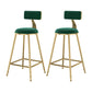 Glam Metal Upholstered Bar Stool Bristol Barstool with Low Back and Cushion Green 2 Piece Set Counter Stool(26"H) Clearhalo 'Bar Furniture' 'Bar Stools' 'bar_stools' 'furn' 'furn_bar_stools' 'furniture_bar_stools' 'Kitchen & Dining Furniture' 'kitchen&dining_furn' 'kitchen' 'kitchen_furn' Furniture' 4380507