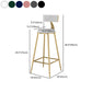 Glam Metal Upholstered Bar Stool Bristol Barstool with Low Back and Cushion Clearhalo 'Bar Furniture' 'Bar Stools' 'bar_stools' 'furn' 'furn_bar_stools' 'furniture_bar_stools' 'Kitchen & Dining Furniture' 'kitchen&dining_furn' 'kitchen' 'kitchen_furn' Furniture' 4380511
