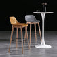 Nordic Style Plastic Wood Barstool 4 Legs Backrest Colorful Bar Stool, Set of 2 Clearhalo 'Bar Furniture' 'Bar Stools' 'bar_stools' 'furn' 'furn_bar_stools' 'furniture_bar_stools' 'Kitchen & Dining Furniture' 'kitchen&dining_furn' 'kitchen' 'kitchen_furn' Furniture' 4380591