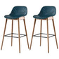 Nordic Style Plastic Wood Barstool 4 Legs Backrest Colorful Bar Stool, Set of 2 Blue 2 Piece Set Clearhalo 'Bar Furniture' 'Bar Stools' 'bar_stools' 'furn' 'furn_bar_stools' 'furniture_bar_stools' 'Kitchen & Dining Furniture' 'kitchen&dining_furn' 'kitchen' 'kitchen_furn' Furniture' 4380599