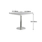 Metal Contemporary Sliver Dining Table Stainless Steel Dining Table with Pedestal Base Clearhalo ' dining_table' 'Dining Tables & Seating' 'Dining Tables' 'furn' 'furn_dining_table' 'Furniture' 'furniture_dining_table' 'Kitchen & Dining Furniture' 'kitchen&dining_furn' 'kitchen' 'kitchen_dining_table' 4381220