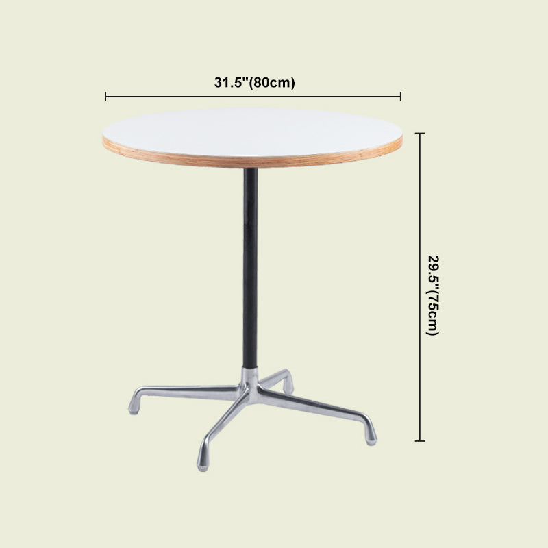 Industrial Style Dining Table Standard Height Dining Table with Pedestal Base for Home Clearhalo ' dining_table' 'Dining Tables & Seating' 'Dining Tables' 'Furniture' 'furniture_dining_table' 'Kitchen & Dining Furniture' 'kitchen&dining_furn' 'kitchen' 'kitchen_dining_table' 4391299