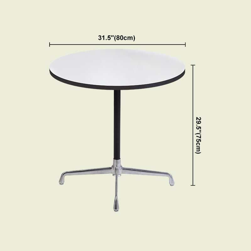 Industrial Style Dining Table Standard Height Dining Table with Pedestal Base for Home Clearhalo ' dining_table' 'Dining Tables & Seating' 'Dining Tables' 'Furniture' 'furniture_dining_table' 'Kitchen & Dining Furniture' 'kitchen&dining_furn' 'kitchen' 'kitchen_dining_table' 4391300