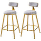 Scandinavian Style Barstool with Metal Leg Round Seat Counter Chair for Kitchen Grey 2 Piece Set Counter Stool(26"H) Clearhalo 'Bar Furniture' 'Bar Stools' 'bar_stools' 'furn' 'furn_bar_stools' 'furniture_bar_stools' 'Kitchen & Dining Furniture' 'kitchen&dining_furn' 'kitchen' 'kitchen_furn' Furniture' 4392920