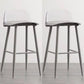 Scandinavian Style Bar-stool with Square Seat Counter Stool for Restaurant Bar Gray-Clear 2 Piece Set Clearhalo 'Bar Furniture' 'Bar Stools' 'bar_stools' 'furn' 'furn_bar_stools' 'furniture_bar_stools' 'Kitchen & Dining Furniture' 'kitchen&dining_furn' 'kitchen' 'kitchen_furn' Furniture' 4400733