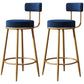 Scandinavian Style Bar Stool Metal Legs Round Seat Counter Stool for Kitchen Bar Blue 2 Piece Set Clearhalo 'Bar Furniture' 'Bar Stools' 'bar_stools' 'furn' 'furn_bar_stools' 'furniture_bar_stools' 'Kitchen & Dining Furniture' 'kitchen&dining_furn' 'kitchen' 'kitchen_furn' Furniture' 4400823