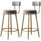 Scandinavian Style Bar Stool Metal Legs Round Seat Counter Stool for Kitchen Bar Grey 2 Piece Set Clearhalo 'Bar Furniture' 'Bar Stools' 'bar_stools' 'furn' 'furn_bar_stools' 'furniture_bar_stools' 'Kitchen & Dining Furniture' 'kitchen&dining_furn' 'kitchen' 'kitchen_furn' Furniture' 4400829