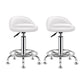 Modern Armless Backrest Counter Stool Steel Bedroom Bar Stool with Cushion Gloss White 2 Piece Set Clearhalo 'Bar Furniture' 'Bar Stools' 'bar_stools' 'furn' 'furn_bar_stools' 'furniture_bar_stools' 'Kitchen & Dining Furniture' 'kitchen&dining_furn' 'kitchen' 'kitchen_furn' Furniture' 4401132