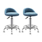 Modern Armless Backrest Counter Stool Steel Bedroom Bar Stool with Cushion Light Blue 2 Piece Set Clearhalo 'Bar Furniture' 'Bar Stools' 'bar_stools' 'furn' 'furn_bar_stools' 'furniture_bar_stools' 'Kitchen & Dining Furniture' 'kitchen&dining_furn' 'kitchen' 'kitchen_furn' Furniture' 4401135