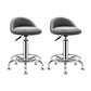 Modern Armless Backrest Counter Stool Steel Bedroom Bar Stool with Cushion Light Gray 2 Piece Set Clearhalo 'Bar Furniture' 'Bar Stools' 'bar_stools' 'furn' 'furn_bar_stools' 'furniture_bar_stools' 'Kitchen & Dining Furniture' 'kitchen&dining_furn' 'kitchen' 'kitchen_furn' Furniture' 4401138