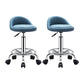 Modern Armless Backrest Counter Stool Steel Bedroom Bar Stool with Cushion Blue 2 Piece Set Clearhalo 'Bar Furniture' 'Bar Stools' 'bar_stools' 'furn' 'furn_bar_stools' 'furniture_bar_stools' 'Kitchen & Dining Furniture' 'kitchen&dining_furn' 'kitchen' 'kitchen_furn' Furniture' 4401153