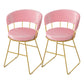Nordic Glam Dining Chairs Armless Windsor Back Side Chairs for Kitchen with Metal Legs Light Pink 2 Piece Set Clearhalo ' kitchen&dining_furn' 'Dining Chairs' 'Dining Tables & Seating' 'dining_chair' 'furn' 'furn_dining_chair' 'Furniture' 'furniture_dining_chair' 'Kitchen & Dining Furniture' 'kitchen' 4413887