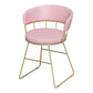 Nordic Glam Dining Chairs Armless Windsor Back Side Chairs for Kitchen with Metal Legs Pink 1 Piece Clearhalo ' kitchen&dining_furn' 'Dining Chairs' 'Dining Tables & Seating' 'dining_chair' 'furn' 'furn_dining_chair' 'Furniture' 'furniture_dining_chair' 'Kitchen & Dining Furniture' 'kitchen' 4413892