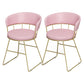 Nordic Glam Dining Chairs Armless Windsor Back Side Chairs for Kitchen with Metal Legs Pink 2 Piece Set Clearhalo ' kitchen&dining_furn' 'Dining Chairs' 'Dining Tables & Seating' 'dining_chair' 'furn' 'furn_dining_chair' 'Furniture' 'furniture_dining_chair' 'Kitchen & Dining Furniture' 'kitchen' 4413894