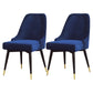 Nordic Style Dining Chair Kitchen Armless Chair with Metal Legs Blue 2 Piece Set Black Gold Clearhalo ' kitchen&dining_furn' 'Dining Chairs' 'Dining Tables & Seating' 'dining_chair' 'furn' 'furn_dining_chair' 'Furniture' 'furniture_dining_chair' 'Kitchen & Dining Furniture' 'kitchen' 4413993