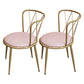 Glam Velvet Dining Room Chair Armless Metal Dining Room Chairs for Home Use Pink 2 Piece Set Clearhalo ' kitchen&dining_furn' 'Dining Chairs' 'Dining Tables & Seating' 'dining_chair' 'furn' 'furn_dining_chair' 'Furniture' 'furniture_dining_chair' 'Kitchen & Dining Furniture' 'kitchen' 4414004