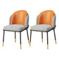 Glam Style Dining Chairs Armless Chairs for Kitchen with Metal Legs Orange 2 Piece Set Clearhalo ' kitchen&dining_furn' 'Dining Chairs' 'Dining Tables & Seating' 'dining_chair' 'furn' 'furn_dining_chair' 'Furniture' 'furniture_dining_chair' 'Kitchen & Dining Furniture' 'kitchen' 4414039