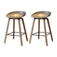 Contemporary Solid Wood Barstool Indoor Bar Stool with Low Back for Kitchen Grey 2 Piece Set Counter Stool(26"H) Clearhalo 'Bar Furniture' 'Bar Stools' 'bar_stools' 'furn' 'furn_bar_stools' 'furniture_bar_stools' 'Kitchen & Dining Furniture' 'kitchen&dining_furn' 'kitchen' 'kitchen_furn' Furniture' 4415841