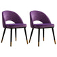 Contemporary Indoor Dining Chair Open Back Side Chair for Brasserie Purple 2 Piece Set Clearhalo ' kitchen&dining_furn' 'Dining Chairs' 'Dining Tables & Seating' 'dining_chair' 'furn' 'furn_dining_chair' 'Furniture' 'furniture_dining_chair' 'Kitchen & Dining Furniture' 'kitchen' 4421329