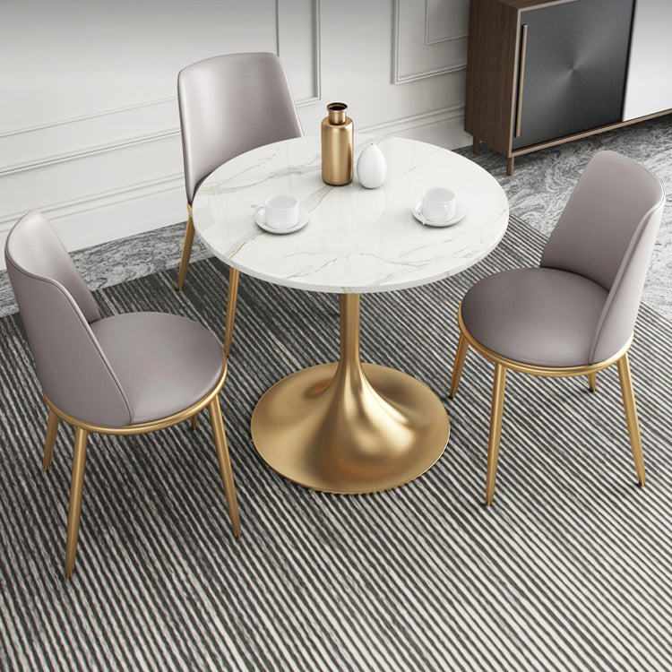 1/2/4/5 Pcs Metal Glam Dining Room Set with Round Table and Metal Base Dining Set 4 Pieces: Table, 3 Chairs Clearhalo 'Dining Room Sets' 'Dining Tables & Seating' 'dining_room_set' 'furn' 'furn_dining_room_set' 'Furniture' 'furniture_dining_room_set' 'Kitchen & Dining Furniture' 'kitchen&dining_furn' 'kitchen' 4421847
