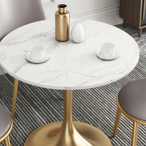 1/2/4/5 Pcs Metal Glam Dining Room Set with Round Table and Metal Base Dining Set Clearhalo 'Dining Room Sets' 'Dining Tables & Seating' 'dining_room_set' 'furn' 'furn_dining_room_set' 'Furniture' 'furniture_dining_room_set' 'Kitchen & Dining Furniture' 'kitchen&dining_furn' 'kitchen' 4421853